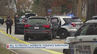 Bill aiming to protect domestic violence survivors reintroduced for third time