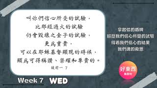 【五分鐘好時光】二〇二二年春季國際長老及負責弟兄訓練｜第七週週三