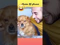 23 சிரிடா மாட்டு பல்லா 🤣 shortsfeed animalcomedy funny doglover pets