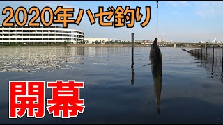 2020年ハゼ釣り開幕！ハゼ釣りができる喜びをかみしめて