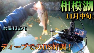 11月中旬の相模湖でバス釣り　#相模湖 #fishing #bassfishing