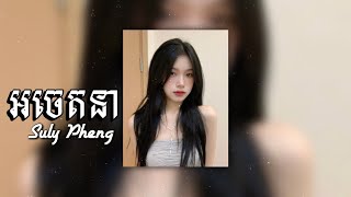 អចេតនា-Suly Pheng /song speed up/