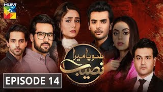 Soya Mera Naseeb Episode #14 HUM TV Drama 27 June 2019