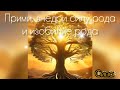 Прими Силу и Изобилие Рода. receive the strength and abundance of kind энергомедитация meditation