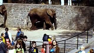 Zoo Wuppertal 70er