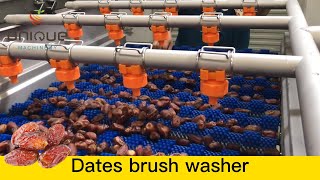 Palm dates brush washing cleaning and polishing machine