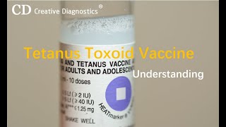Understanding Tetanus Toxoid Vaccine How It Works & Why You Need It!