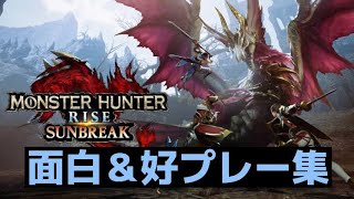 Switchに保存されてた珍プレー好プレーをまとめてみた！【MH:RISE/SUNBRAKE】