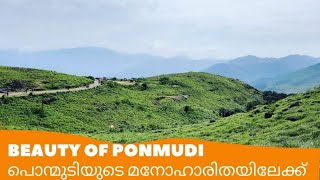 Kashmir of Kerala ❤️ | കോട ഇല്ലാത്ത പൊന്മുടി 😳  | Ponmudi Hills | Homely Stories 🍀