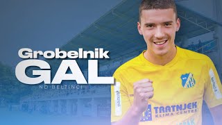 Gal Grobelnik ● ND Beltinci ● Cen.Forward ● 21/22 Highlights