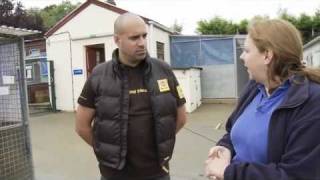 Pedigree Adoption Drive - National Animal Welfare Trust