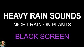 Rain Sound In the Garden To Beat Insomnia, Heavy Rain On Plants, Night Rain Sounds BLACK SCREEN