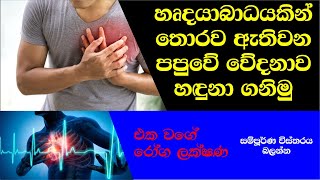 Chest pain and Heart atack Let's find out - පපුවේ වේදනාව හදුනා ගනිමු