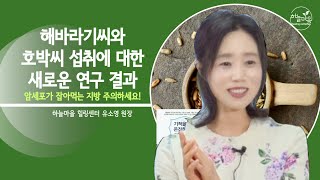 호박씨와 해바라기씨. 암세포가 잡아먹는 지방 주의하세요! [하늘마을 힐링센터 유소영 원장]