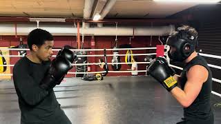 Sparring (25 November 2024)