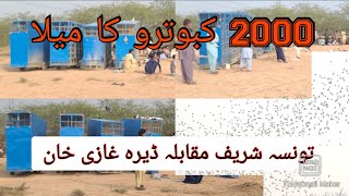 2000 Kabotaro Ka Bara Mela Barbadi Wala Muqabla dira ghazi khan Vs Taunsa Shrif