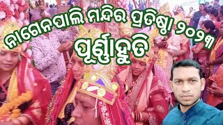 ନାଗେନପାଲି ମନ୍ଦିର ପ୍ରତିଷ୍ଠା ୨୦୨୩ ପୂର୍ଣ୍ଣାହୁତି ||  Mandir Pratishtha 2023 || Comedy IQ