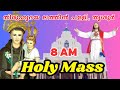 HOLY MASS  / FR. MIDHIN PULIKKATHRA  / 14-08-2024.