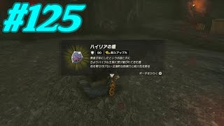 【実況】　ゼルダの伝説　ティアーズ オブ ザ キングダム　part125