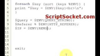 Perl Tutorial 41 - Environmental Variables