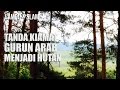 Tanda Kiamat! Gurun Arab Menjadi Hutan