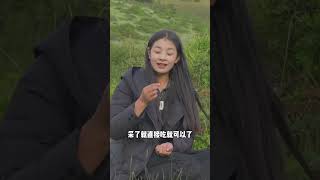 高原上的野草莓成熟了～酸酸甜甜的，有股巧克力的味道！大家吃过吗？# 一日一植物 # 新农人