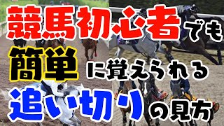 【追い切りの見方】競馬初心者でも簡単に覚えられる調教、追い切りの見方