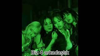 4 Arkadaşın Hikayesi#imnotcool#keşfet#akım#edit#keşfetedüş#fypシ#kpop#blackpink#fancam#blink#twice