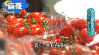 《嘉義》青農返鄉無毒栽培 用微生物肥料科技種植 建微氣象站掌握天機 逼自己學習前進的跌撞人生｜主播 邱子玲  攝影 鍾至瑋｜【智富食代】20210419｜三立iNEWS