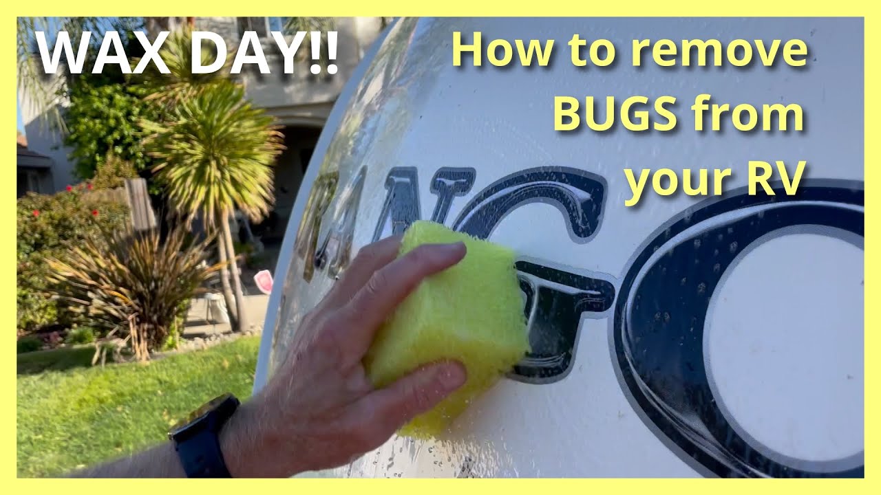 This Is How To Remove Bugs From Your RV!!! - YouTube