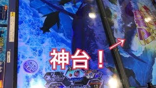 右が神台！【マボロシステージ】釣りスピリッツ★メダルゲーム★ダイヒョウザンクジラ【コインゲーム】