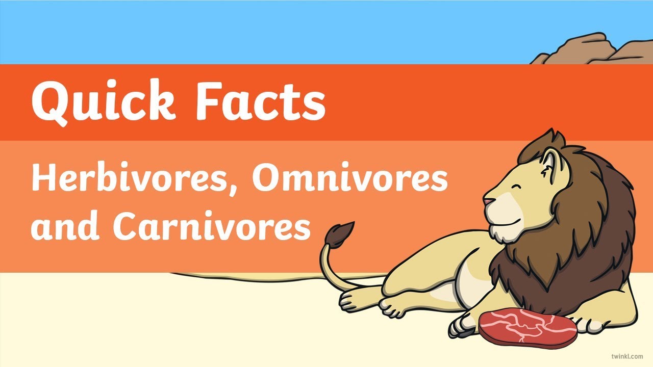 Quick Facts: Herbivores, Omnivores And Carnivores Video - YouTube