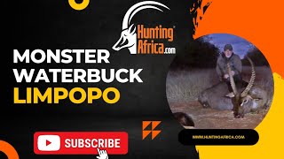 Waterbuck Hunt | Tank | Limpopo