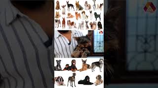 எந்த BREED ரொம்ப EXPENSIVE? | #aadhannews #aadhanshorts #Dogs #homepets #breeds | Aadhan News