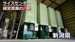 静岡製機ライスセンター　新潟県 | 農業法人 | 大型乾燥機 |籾摺ライン2系列 | 新設