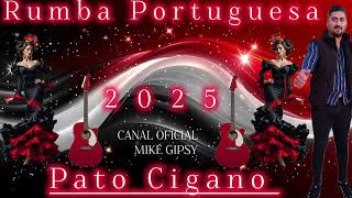 MUSICA CIGANA 2025 PATO CIGANO - RUMBA PORTUGUESA #rumbaportuguesa #musicacigana