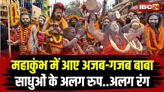 Prayagraj Mahakumbh 2025: महाकुंभ में संतों के अलग रुप..अलग रंग..धर्म सानातन। साधु हैं कुंभ की पहचान