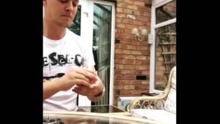Precision is the key to success! Magic Card Trick Ninja Accuracy 😏