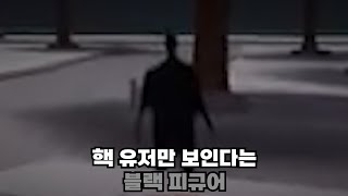 핵 유저만 보인다는 블랙 피규어란 무엇일까? [가장 강한 전장]