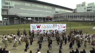 2013 11  2 淑楓祭 愛知淑徳大学　長久手キャンパス 常磐　総踊り