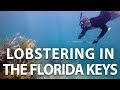 Lobstering in the Florida Keys with Kraken Aquatics