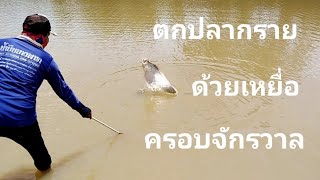 ตกปลากราย​ ด้วยเยื่อครอบจักรวาล​ (เหยื่อ​ไส้เดือน)​