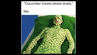 😆 Funny Memes, Puns & Jokes😆BIG Compilation Episode 19 😆 TRY NOT TO LAUGH😆Funniest Of All Time