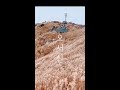 shorts 여기어디게 hiking mountains 등산 오서산 억새