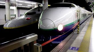 2013/01/30 上越新幹線 回送 200系 K43編成 上野駅 / Joetsu Shinkansen: 200 Series on Dead Mileage at Ueno