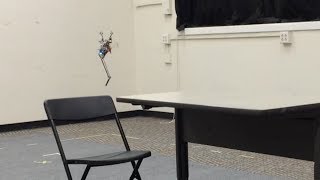 Precise Hopping with Salto-1P