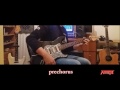 accept pandemic guitar cover