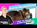 Anna Mulholland | How to Groom a Sheltie | Part 1: Bathing and drying an impacted coat