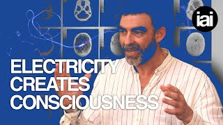 Electricity creates consciousness | Nick Lane