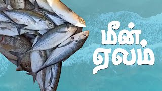 இரவு பிடித்த மீன்களை ஏலம் விடுகிறோம் | AUCTION FOR FISH🐟🌊#kuthenkullymeenavan​​ #kuthenkully